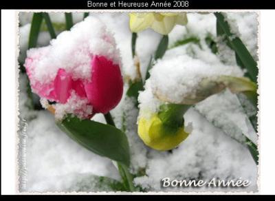 Bonne ann&eacute;e 2008